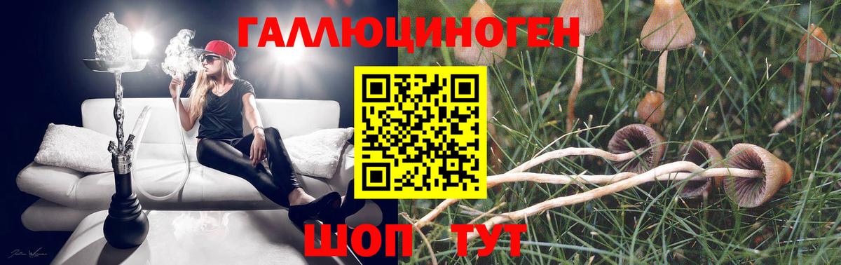 Галлюциногенные грибы ЛСД Туапсе